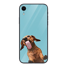 Ốp điện thoại kính cường lực cho máy iPhone XR - Chó cute MS ADV005