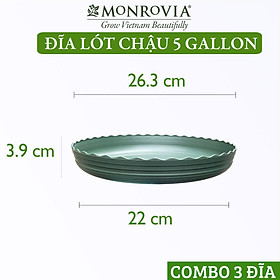 Combo Đĩa3 Đĩa lót chậu nhựa trồng cây MONROVIA 5 GL, chậu trồng cây, chậu cây cảnh mini, để bàn, treo ban công, treo tường, cao cấp, chính hãng thương hiệu MONROVIA