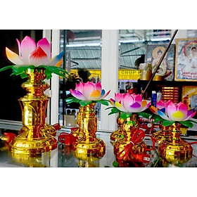 Mua Cặp đèn sen cấm điện  đặt bàn thờ nhiều cỡ (2 cái)