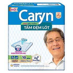 Tấm Đệm Lót Siêu Thấm Caryn (10 Miếng)