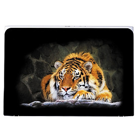Mua Mẫu Dán Decal Laptop Nghệ Thuật LTNT-359