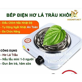  Bếp Điện Hơ Lá Trầu Cho Bé Và Hơ Trầu - Muối Cho Mẹ 