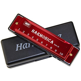 Phím Harmonica của C 10 Hole diatonic Harmonica C với trường hợp cho sinh viên mới bắt đầu Học sinh trẻ em Quà tặng màu xanh da trời