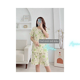 Đồ Bộ Bầu Và Sau Sinh Ngắn Tay Chất Liệu Đũi Hàn Cao Cấp Nhiều Màu Hoa Nhí Siêu Mát Nhẹ Tênh ( Kèm Ảnh Thật )