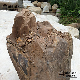 Trụ Gỗ Hóa Thạch Thô Tự Nhiên Giúp Đuổi Trừ Âm Khí 19.5kg (33*26*22 cm)- GHT56