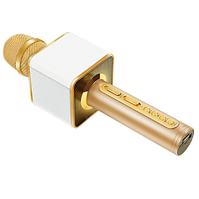 Micro Karaoke Bluetooth Kèm Loa cao cấp kết nối Bluetooth, thẻ nhớ, USB pin sạc - Hàng chính hãng