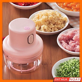 Mua Máy Xay Tỏi Ớt Mini  Củ Quả Đa Năng  Đồ Ăn Dặm Sạc USB Tiện Dụng - Máy Xay Thịt Cầm Tay Mini
