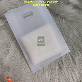 Mua 0 5 KG - 1KG Túi Nilong Hột Xoài HD Mờ SANG TRỌNG - HUYỀN BÍ