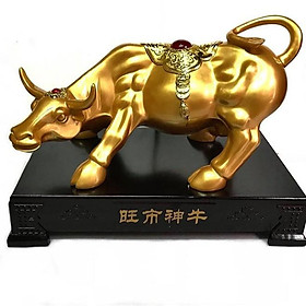 Mua Trâu Vàng Phong Thủy