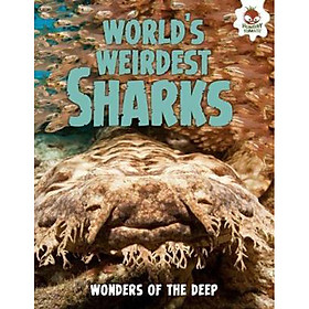 Sách tiếng Anh - World's Weirdest Sharks