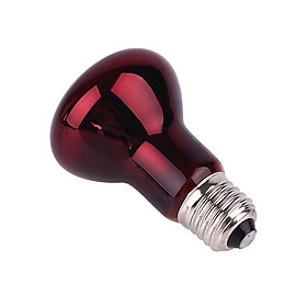 Đèn Nuôi Bò Sát (50/60Hz) (AC220-230V)