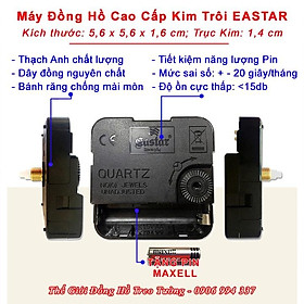Mua Đồng Hồ Treo Tường KIM TRÔI DẠ QUANG EASTAR – Số Nổi 3D – Viền Vàng Champagne – Tặng Pin Maxell