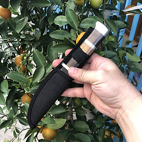Mua dao gọt hoa quả có bao đựng  sắc bén  đẹp và tiện sử dụng