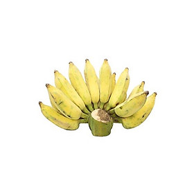 CHUỐI XIÊM MỸ THO 1KG