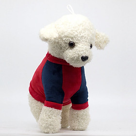 Chó bông Poodle nâu mặc áo GHM03