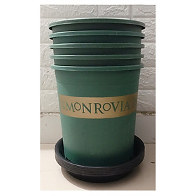Combo 5 Chậu MONROVIA CH Garden 3Gal - Màu Xanh + 5 Khay  Lót Đế Chậu 26 - Màu Đen