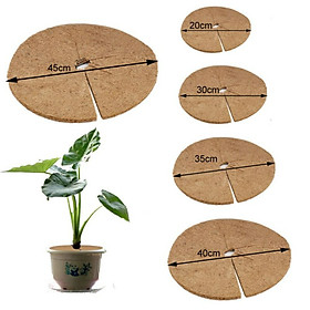 Mua Combo 5 Tấm Xơ Dừa Chống cỏ  Lót chậu  Giữ Ẩm Đất  Giá Thể Cây Trồng Đường kính 35cm