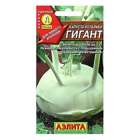 Hạt Giống Su Hào Khổng Lồ Ailita (0.3g)