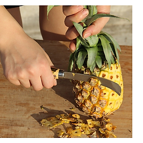 Dao cắt trái, dao gọt thơm, dao cắt chuối, gọt hoa quả trái cây lưỡi cong, dao ra nải chuối đa năng GD706-Gotmia