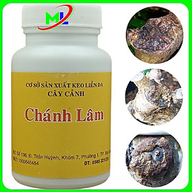 Keo liền sẹo, liền da cây chánh lâm