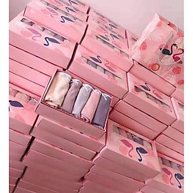 Hộp 5 quần chíp hồng hạc kháng khuẩn cho nữ