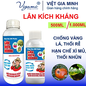 Phân Bón Vigami LÂN KÍCH KHÁNG khắc tinh vàng lá, thối rễ, xì mủ, thối nhũn