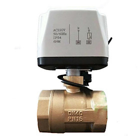 Mua Van Bi Xoay Điều Khiển Điện 220V 2 Ngả Cỡ Lớn SHP-VN7