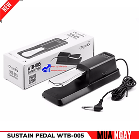 Mua Chân Đạp Pedal Sustain Cherub WTB 005 Cho Đàn Piano Electric Keyboards   Đàn Organ  Trống Điện