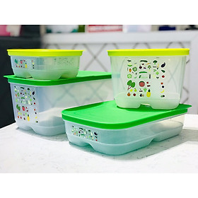Mua Bộ hộp trữ rau củ Tupperware Ventsmart 4 hộp (sản phẩm mới)