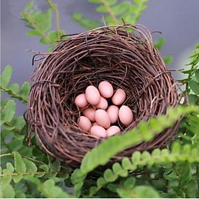 Nature  Rattan Bird Nest Small Birds Bedding Holiday Decoration
