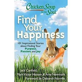 Ảnh bìa Chicken Soup for the Soul: Find Your Happiness