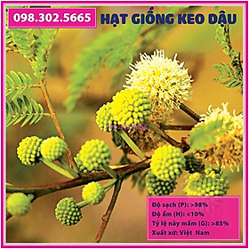 Gói 500g - Hạt giống keo dậu, hạt giống táo nhơn, bọ chét, bình linh, keo giun, dùng cho chăn nuôi