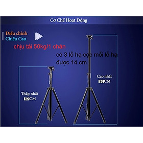 Chân loa đứng loại tốt LKT- (giá 2 cái)