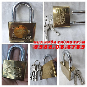 Mua Ổ khoá Zsolex 5 phân  thích hợp khoá phòng trọ  khoá nhà cửa  khoá dây xích