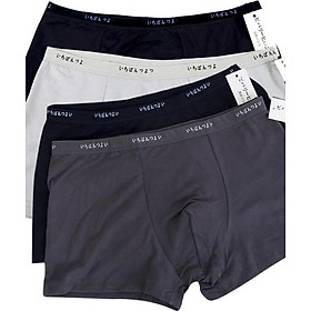 Combo sỉ gồm 5 quần lót đùi nam xuất nhật - quần boxernam