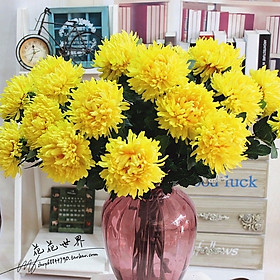 Mua Cành cúc mẫu đơn vải size lớn