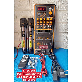 Mua MẠCH LOA 40 ĐƠN - 30 ĐÔI KÍCH THƯỚC 14 5cm x35 cm REVERB DSP