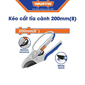 Kéo cắt cành