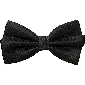 Nơ đeo cổ nam x21