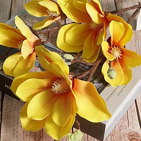Cành hoa mộc lan cao su 5 bông - Hoa lụa