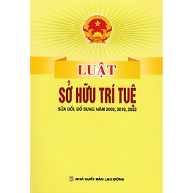 Luật Sở Hữu Trí Tuệ (DH)
