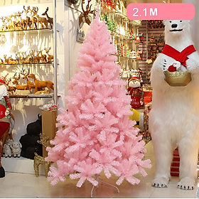 Mua Cây thông Hồng Trơn Dày Rậm C14 CÂY CAO 2.1M Trang Trí Noel Giáng Sinh