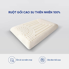 Gối cao su Gummi Evora 40x60cm cao cấp, chống đau cột sống cổ, kháng khuẩn, thoáng mát