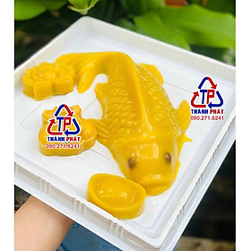 Mua 10 Hộp nhựa vuông đựng râu câu cá chép 23cm - Hộp nhựa H121 đựng rau câu 3D 23cm