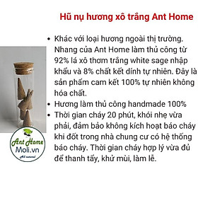 Mua Tặng Đĩa SòTúi 20 Nụ Palo Santo/Xô Trắng... đốt thơm nhà cửa  thanh tẩy và chữa lành