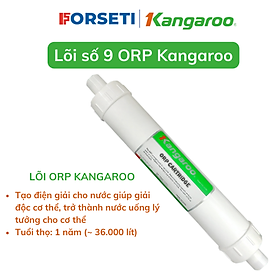 Hàng chính hãng Lõi lọc nước Kangaroo lõi lọc số 9 - ORP Cartridge