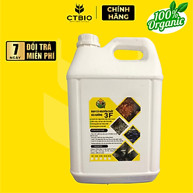 ĐẠM CÁ NGUYÊN CHẤT GIÁ XƯỞNG 3F (10 LÍT) – RAU SẠCH, TRÁI NGỌT, XANH LÁ MẤP THÂN, BÊN CÂY, TỐT ĐẤT.