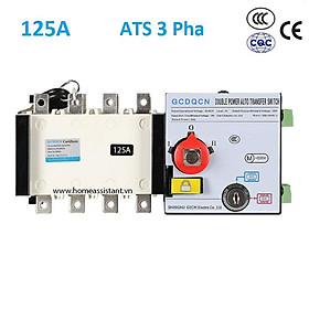 Mua Cầu Dao Chuyển 2 Nguồn Điện Tự Động ATS 3 Pha Hoặc 1 Pha 125A ATS02-125