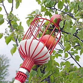 Mua Đầu hái hoa quả trên cao đa năng