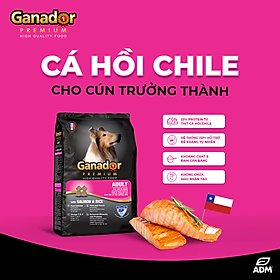 Combo 5 thức ăn cho chó trưởng thành Ganador vị cá hồi & gạo Salmon & Rice 400 gram